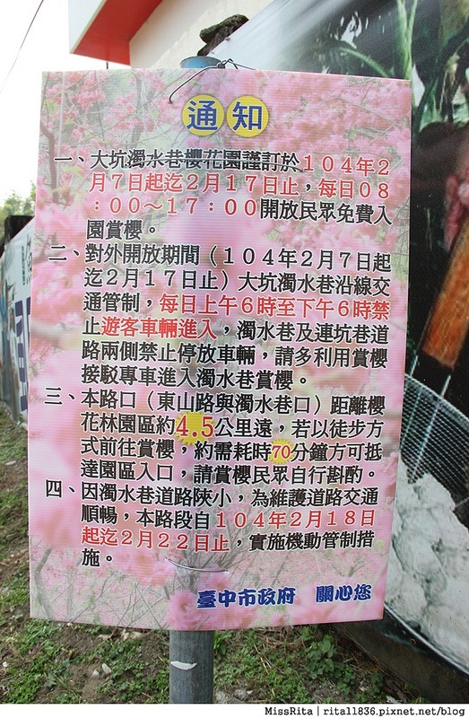 2015台中賞櫻 大坑 濁水巷櫻花林0--