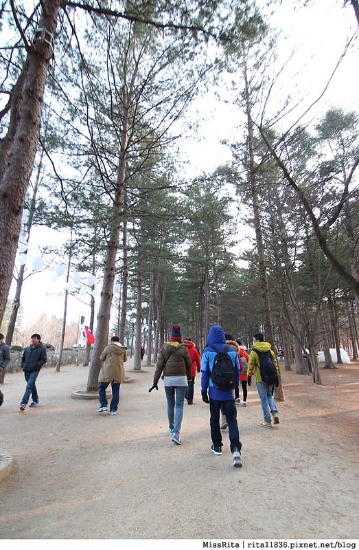 韓國 旅遊 韓國好玩 韓國 南怡島 韓劇景點 冬季戀歌場景 南怡島13