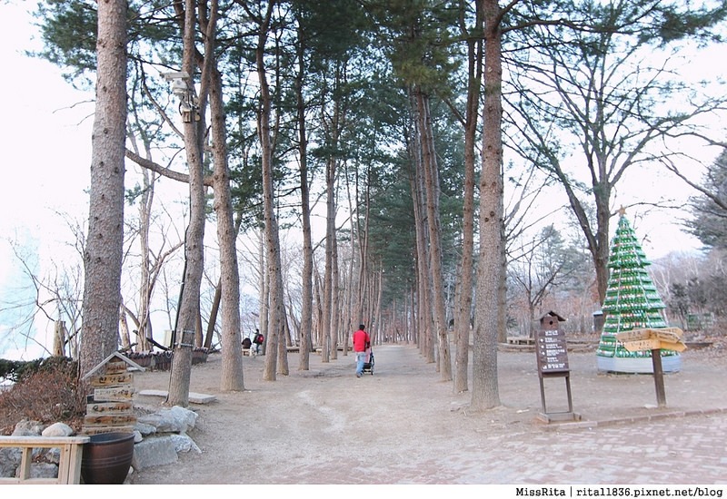 韓國 旅遊 韓國好玩 韓國 南怡島 韓劇景點 冬季戀歌場景 南怡島42