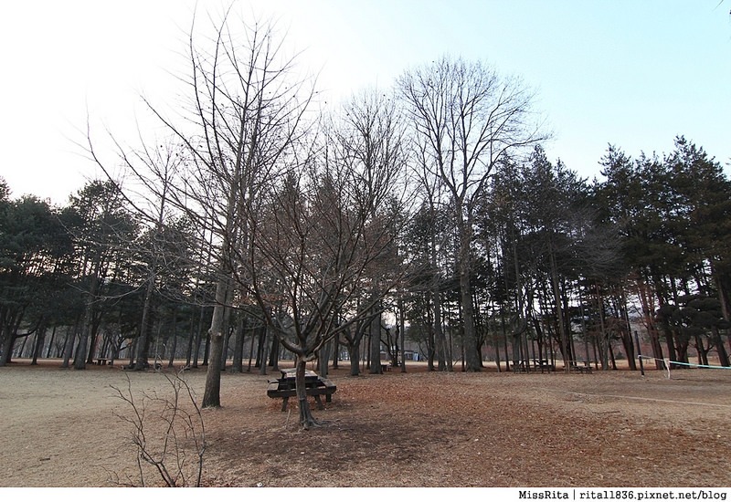 韓國 旅遊 韓國好玩 韓國 南怡島 韓劇景點 冬季戀歌場景 南怡島36