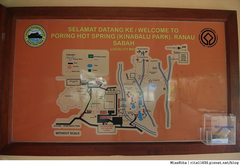 馬來西亞自由行 馬來西亞 沙巴 沙巴自由行 沙巴神山 神山公園 KinabaluPark Nabalu PORINGHOTSPRINGS 亞庇 波令溫泉 klook 客路 客路沙巴 客路自由行 客路沙巴行程51