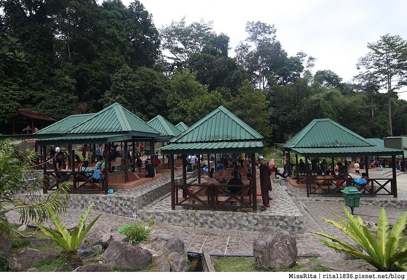 馬來西亞自由行 馬來西亞 沙巴 沙巴自由行 沙巴神山 神山公園 KinabaluPark Nabalu PORINGHOTSPRINGS 亞庇 波令溫泉 klook 客路 客路沙巴 客路自由行 客路沙巴行程54