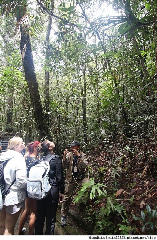 馬來西亞自由行 馬來西亞 沙巴 沙巴自由行 沙巴神山 神山公園 KinabaluPark Nabalu PORINGHOTSPRINGS 亞庇 波令溫泉 klook 客路 客路沙巴 客路自由行 客路沙巴行程20