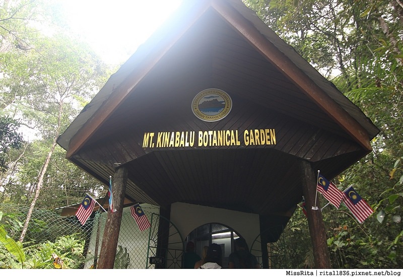 馬來西亞自由行 馬來西亞 沙巴 沙巴自由行 沙巴神山 神山公園 KinabaluPark Nabalu PORINGHOTSPRINGS 亞庇 波令溫泉 klook 客路 客路沙巴 客路自由行 客路沙巴行程15