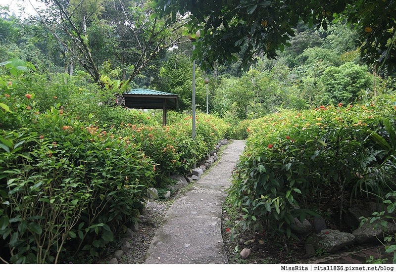 馬來西亞自由行 馬來西亞 沙巴 沙巴自由行 沙巴神山 神山公園 KinabaluPark Nabalu PORINGHOTSPRINGS 亞庇 波令溫泉 klook 客路 客路沙巴 客路自由行 客路沙巴行程78