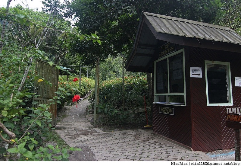 馬來西亞自由行 馬來西亞 沙巴 沙巴自由行 沙巴神山 神山公園 KinabaluPark Nabalu PORINGHOTSPRINGS 亞庇 波令溫泉 klook 客路 客路沙巴 客路自由行 客路沙巴行程68
