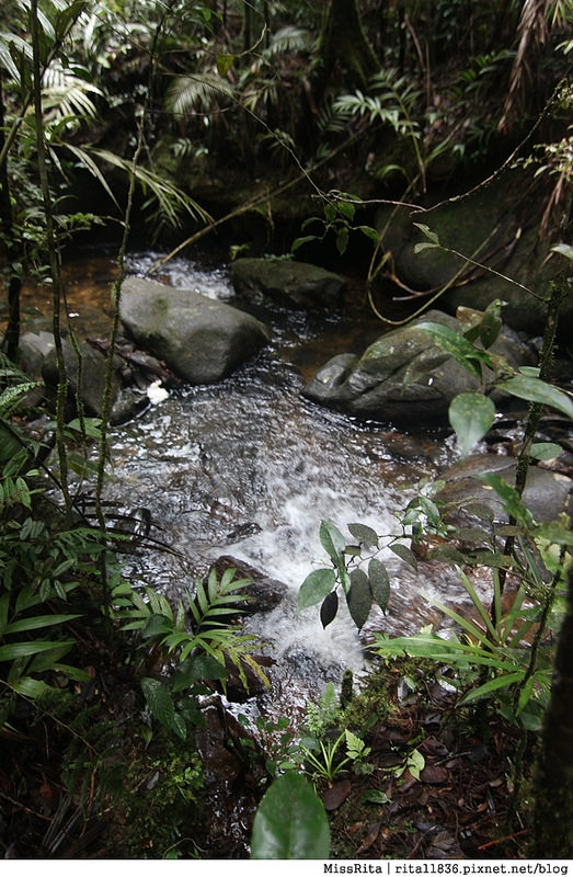 馬來西亞自由行 馬來西亞 沙巴 沙巴自由行 沙巴神山 神山公園 KinabaluPark Nabalu PORINGHOTSPRINGS 亞庇 波令溫泉 klook 客路 客路沙巴 客路自由行 客路沙巴行程23