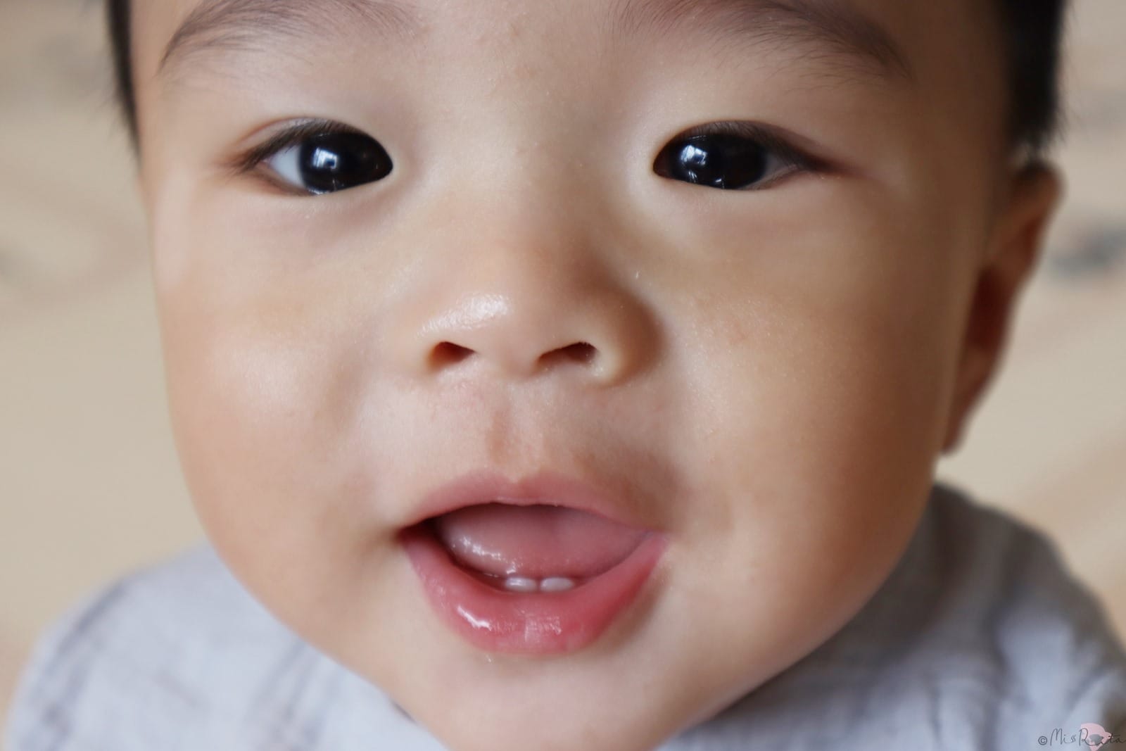 Brush Baby,Brush Baby英國,嬰幼兒口腔,WildOnes充電式兒童聲波電動牙刷,WildOnes,幼兒雙吸盤式牙刷,嬰兒清潔手指棉巾,木醣醇含氟牙膏,兒童電動牙刷,兒童牙刷,兒童牙膏,優迪,yodee,英國兒童牙刷,聲波電動牙刷,電動牙刷